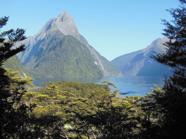 Milford Track Diary – One Tramper’s Experience of the Milford Track